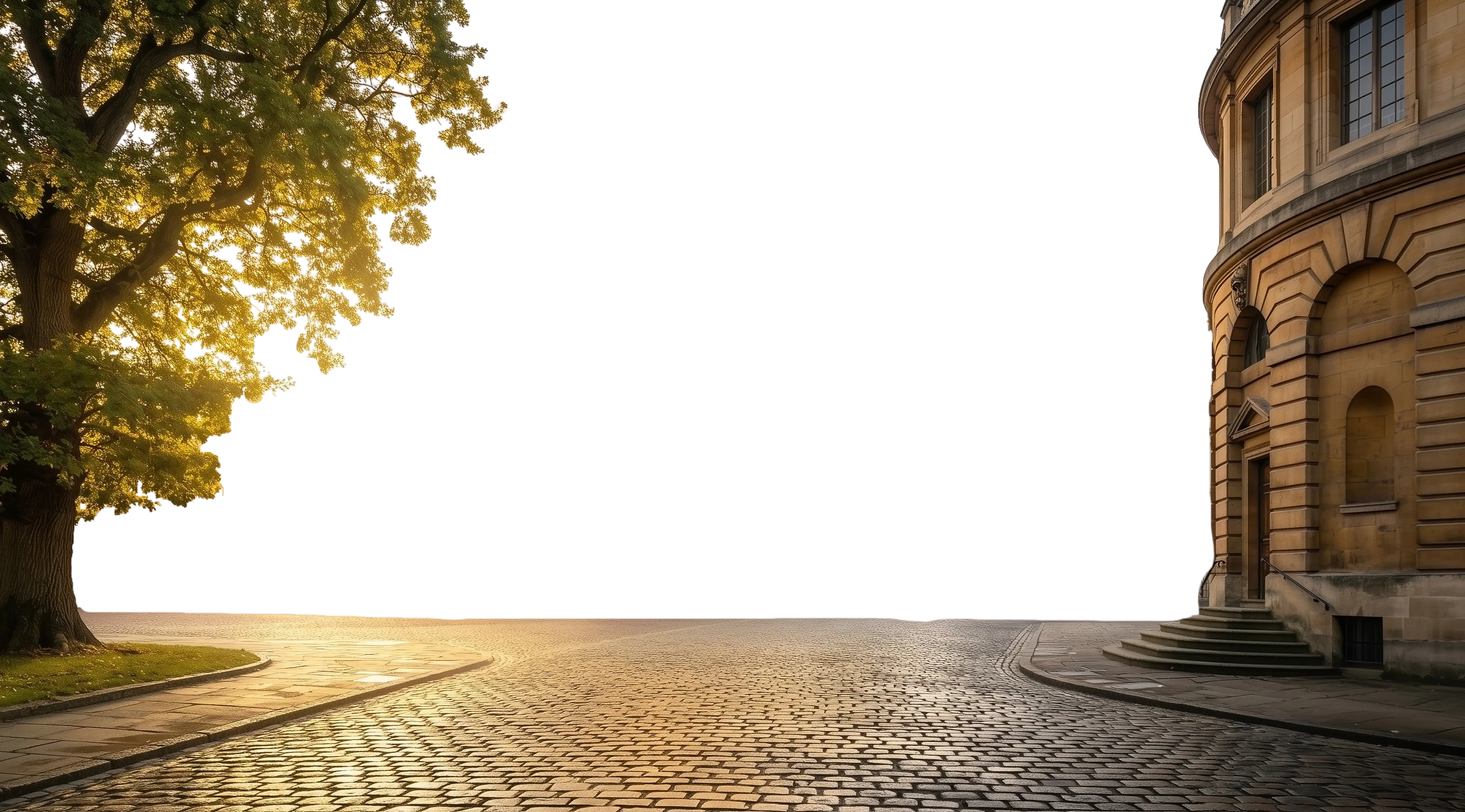 Parallax layer: foreground